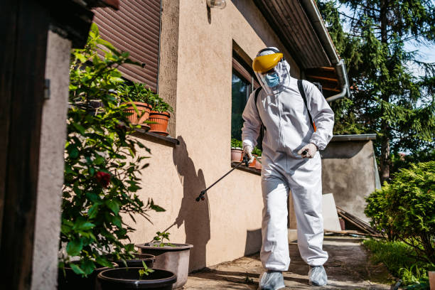 Professional Pest Control in Hauppauge, NY
