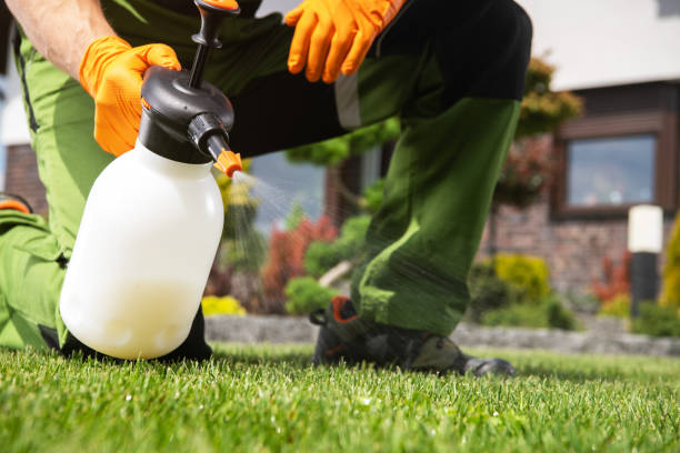 Reliable Hauppauge, NY Pest Control Solutions