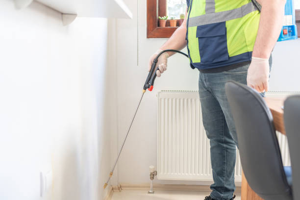 Best Local Pest Control Services  in Hauppauge, NY