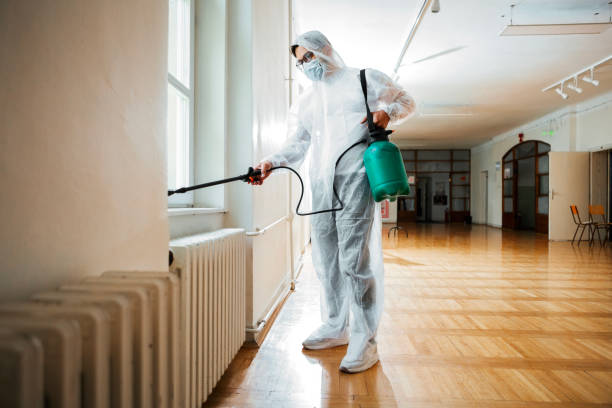 Best Affordable Pest Control Services  in Hauppauge, NY